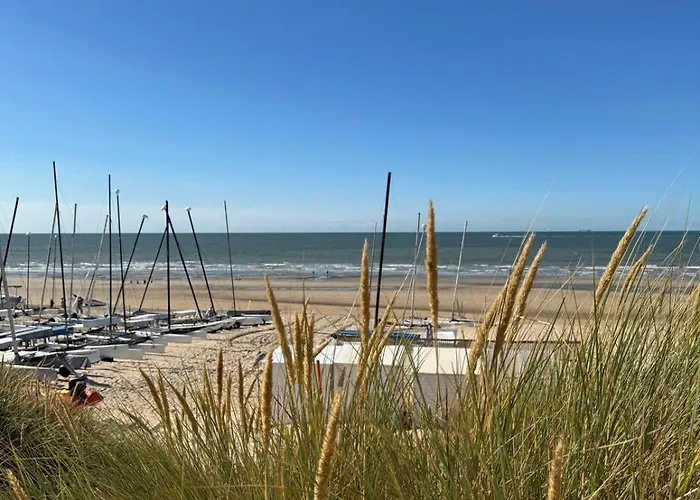 別荘 Cozy デ ハーン